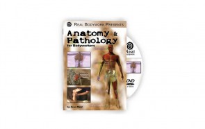 DVD Anathomy and Pathology for Bodyworkers